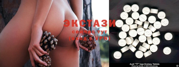 дживик Сясьстрой