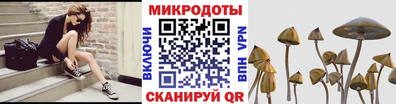 Псилоцибиновые грибы Psilocybine cubensis Буйнакск