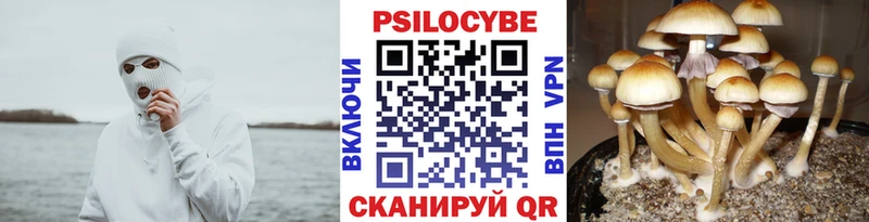 мориарти состав  Буйнакск  blacksprut маркетплейс  Галлюциногенные грибы ЛСД  купить наркотики цена 