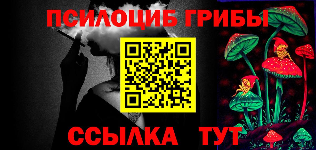 Псилоцибиновые грибы прущие грибы Буйнакск