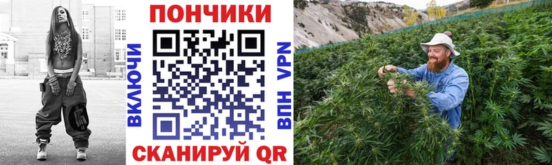Бошки марихуана OG Kush  купить наркоту  Буйнакск 